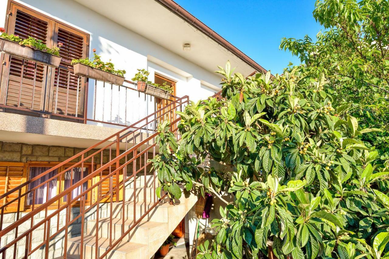 Apartman Jadranka Bibinje Zewnętrze zdjęcie